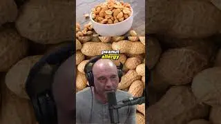 Allergies and the Peanut Dilemma: Joe Rogan Experience #1369