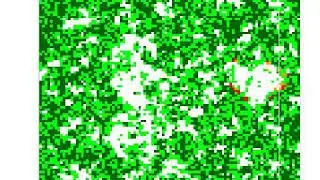 Forest Fire Simulation in R