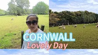 Lovely Saturday #NewZealand #nature #Sheep #CornwallPark