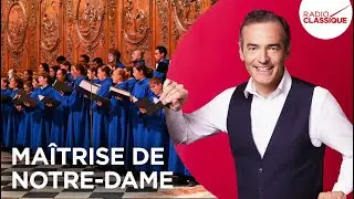 Franck Ferrand raconte : Ma&icirc;trise de Notre-Dame (Les Grands Dossiers de l'Histoire)