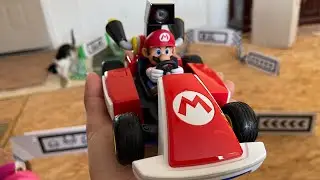 Jugando Mario Kart Live 🎮🚘 #shorts #familiarockstar #nintendoswitch #mklive