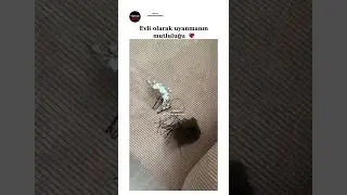 Sabahları Birlikte Uyanmak 💕☀️