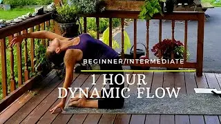 1 Hour Vinyasa Yoga Flow - Dynamic Yoga Practice for Beginner/Intermediate