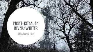 Mont Royal en Hiver/Winter 4K
