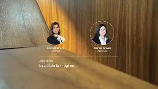 Inpatriate tax regime | Remuneration essentials