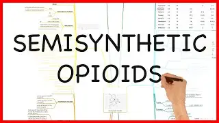 SEMISYNTHETIC OPIOIDS -PHARMACOLOGY SERIES