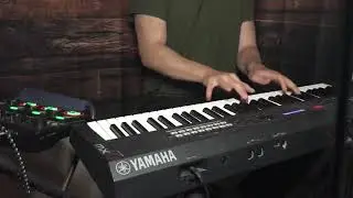 Chillhop Lofi Rhodes Keys