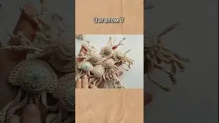 Alta aqua 🌊 Crochet elements Вязаные элементы крючком 🌼