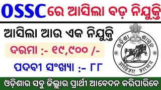 OSSC Big Vacancy 2023 ! Odisha Govt Jobs 2023 ! Odisha Job Vacancy ! Odisha Job ! 88 Posts