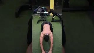 Gym short workout #animal #fitness #viral #youtubeshorts #motivation #gymshorts