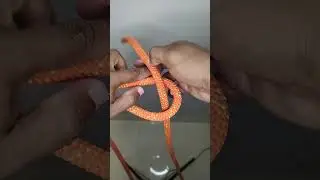 N&oacute; direito pelo seio e pelo chicote