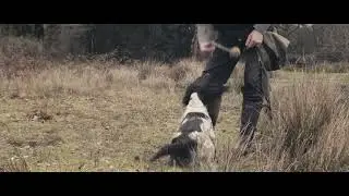 Sony Fx30 Cinematic Gundog Training