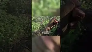 Ukraine heroes target Russian soldiers with heavy fire during intense forest gun fight