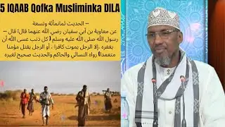 5 IQAAB Qofki DILA Musliminta