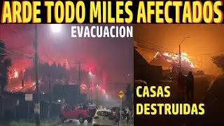 URGENTE INCENDIO FORESTAL LLEGA A LA CIUDAD MILES EVACUAN EN PÁNICO TOTAL EN PENCO BIO BIO