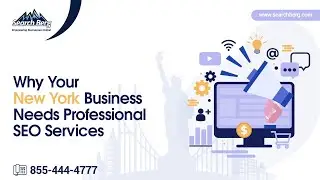 Why Your New York Business Needs Professional SEO Services? -  Search Berg