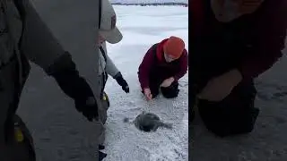 Рыбалка на щуку с жерлицей в Южном Висконсине!!! #рыбалка #подледнаярыбалка #висконсин #щука