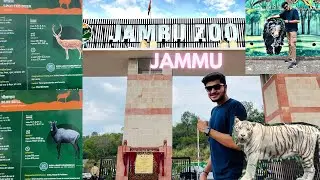 JUMBU ZOO OF JAMMU| North India's Largest Zoo🔥| SAFARI | BEAUTIFUL SCENES | HIMANSHU BASASI