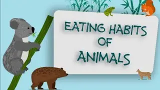 Classification of animals according to their food habits.