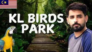Exploring KL Bird Park  | World&rsquo;s Largest Free-Flight Walk-In Aviary