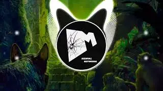 Azfor - Happy La Selva