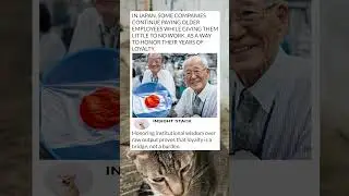 Платят за бездействие? Самый почётный секрет Японии.