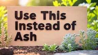 Discover the Best Wood Ash Alternatives to Supercharge Your Soil Naturally