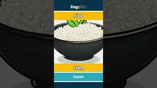 🇬🇧🇻🇳 rice - cơm : vocabulary builder : learn English : h&atilde;y học tiếng Anh