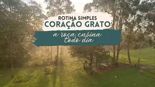 MILHO CRIOULO NA HORTA, CONGELANDO ESPINAFRE CORRETAMENTE I QUANDO A NATUREZA CHAMA