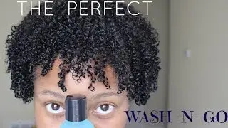 The Perfect Wash and Go for Defined Curls ft. Curls Blueberry Bliss
