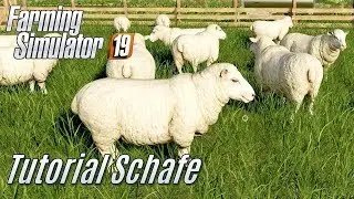 LS19: Schafe Tutorial - f&uuml;r Einsteiger