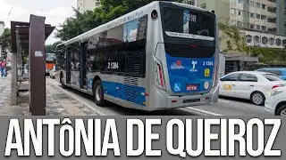 Parada Antônia de Queiroz (Rua da Consolação) - Movimentação de Ônibus #646