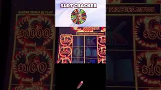 💥BONUS 1000 $! @hardrocktampa #slotmachinejackpot #bigwin #slot #kasyno