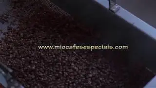 Mi&oacute; Microlotes de Caf&eacute;s Especiais