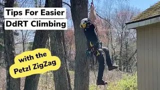 DdRT with Petzl ZigZag / Foot Ascender | Arborist Tree Climbing Techniques