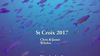 St Croix Diving (Make Memories Travel More)