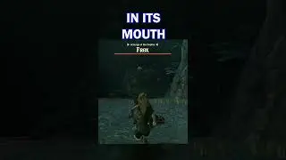 Frox Fight Tips in Tears of the Kingdom