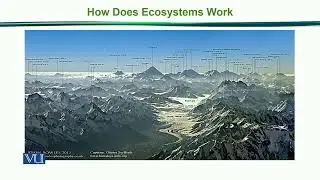 How Does Ecosystems Work | Principles of Animal Ecology | ZOO507_Topic165