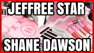 SHANE DAWSON PALETTE REVIEW JEFFREE STAR COSMETICS