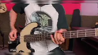THE NETWORK - TRANSISTORS GONE WILD (BASS COVER)
