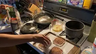 Happy New Year! Let's make bird suet cakes! | 2026 Feeding Friday Ep. 01