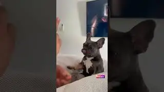 🤣📺 