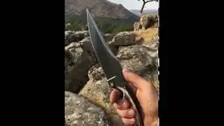 Macho Riojano Barbudo El Bravo