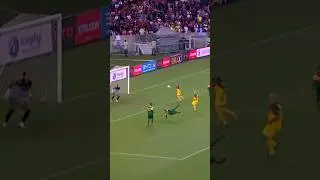 O DETALHE QUE NINGU&Eacute;M VIU NO GOL DO AMARAL NO JOGO SOLID&Aacute;RIO