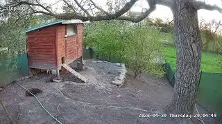 LIVE stream Bird feeder Cam &ndash; Watch Our Happy Birds in Action! Czech Republic, near reservoir Rozko&scaron;