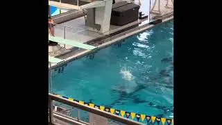 University of Pittsburgh diving camp July 2023 day 3 mock meet