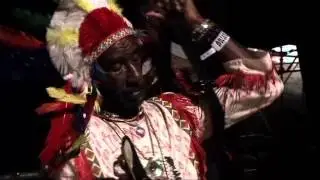 Lee Scratch Perry's Vision Of Paradise Kickstarter Video