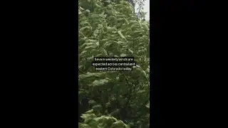 Severe Winds Impact Colorado Front Range