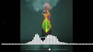 MusicBomber - Don't ask why (YGreater Remix)