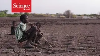 How early warnings of drought help prevent catastrophic famines